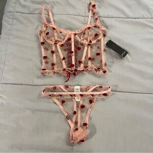 Nasty Gal Pink Sheer Floral Embroidered Bra Set